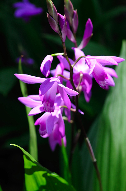image0141