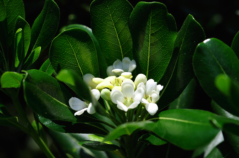 image0147