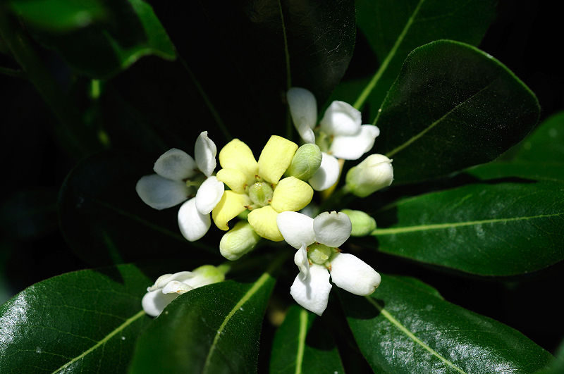 image0149