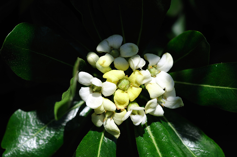 image0150