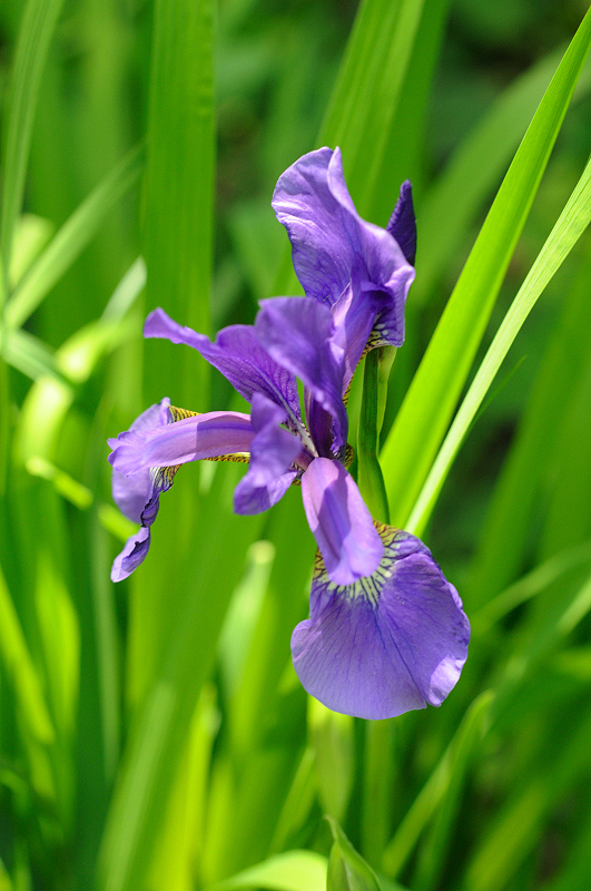 image0151