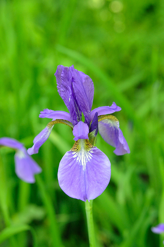 image0152
