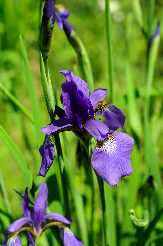 image0153