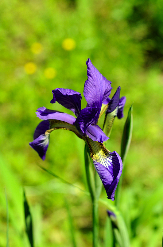 image0154