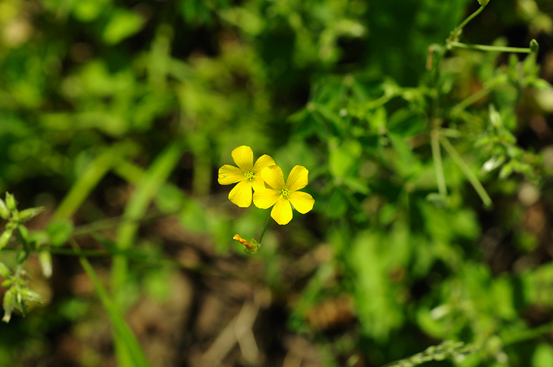 image0156