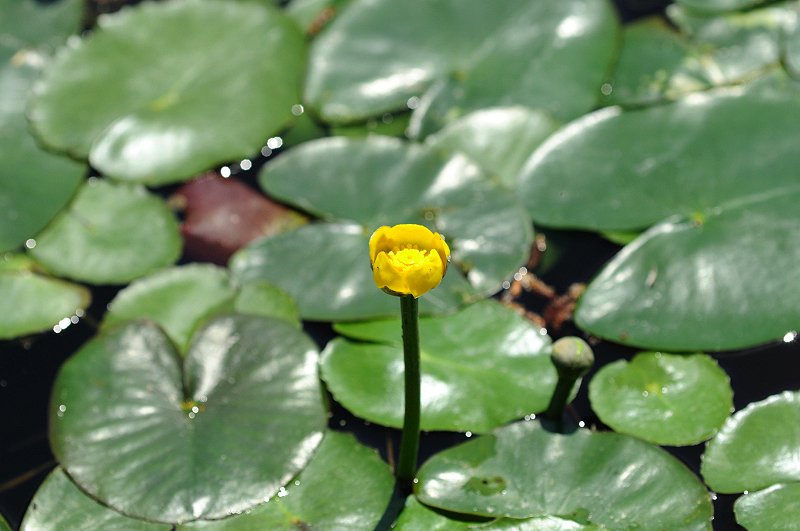 image0157