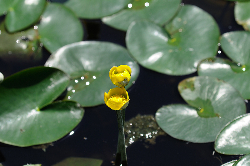 image0160