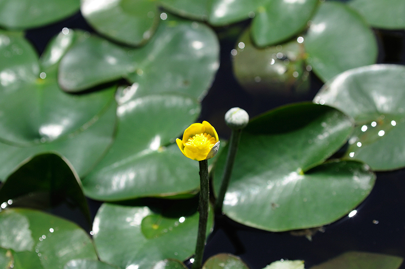 image0161