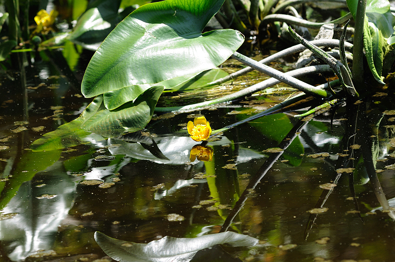 image0163