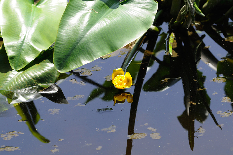 image0164