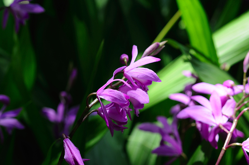 image0165