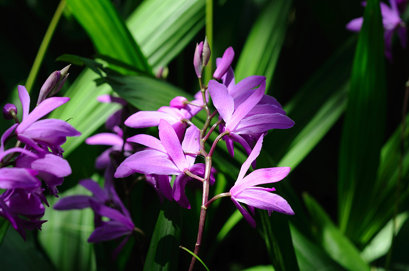 image0166