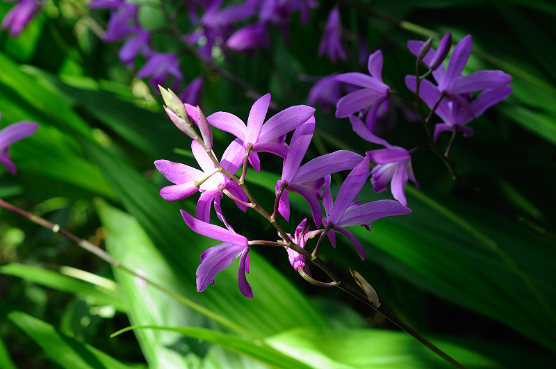 image0167