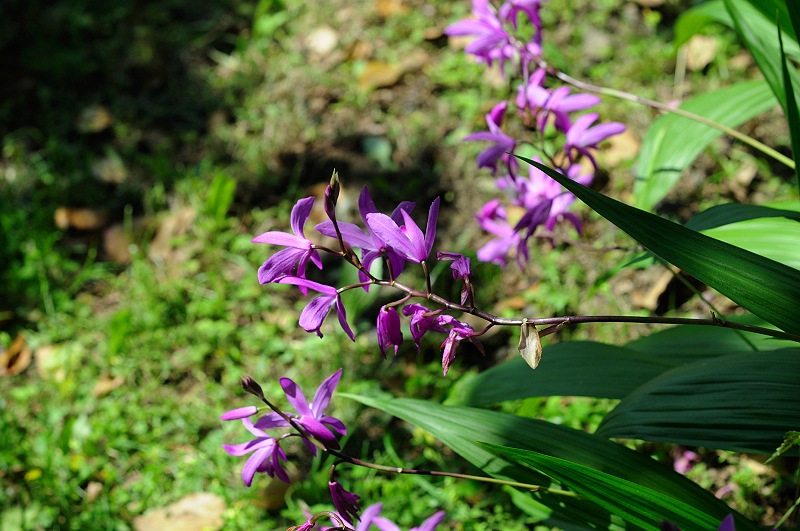 image0168