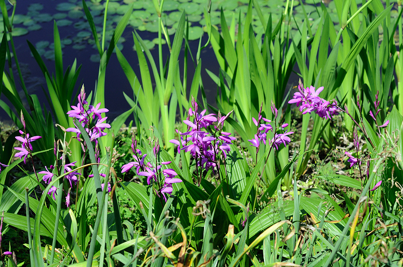 image0169