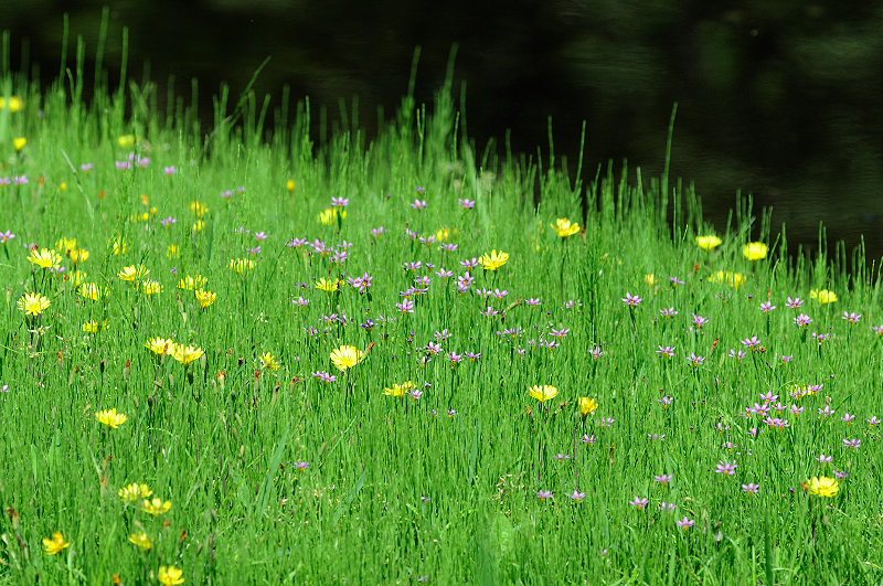 image0170