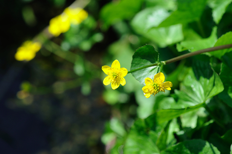 image0171