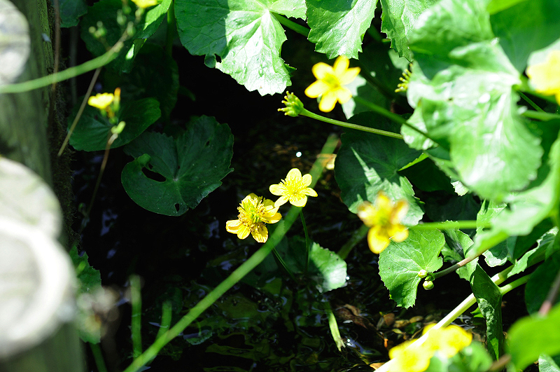 image0174