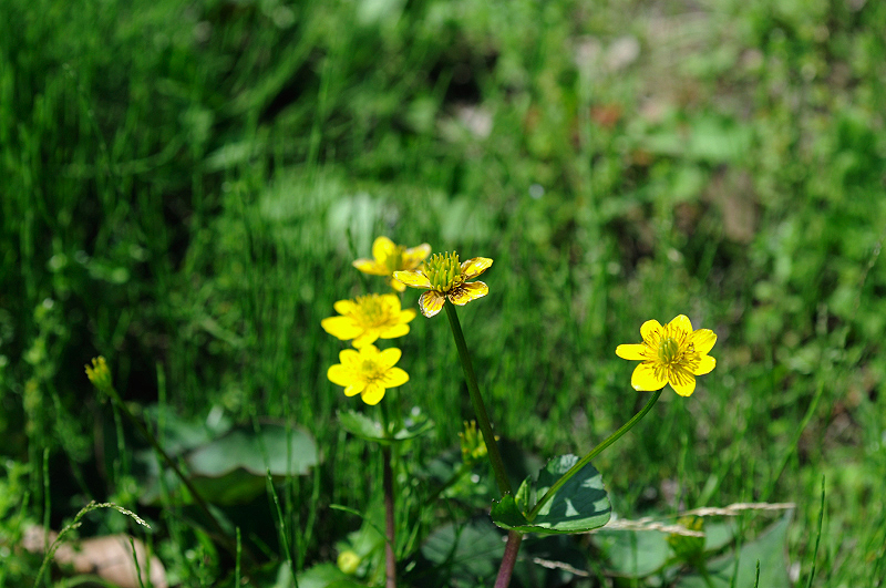 image0175