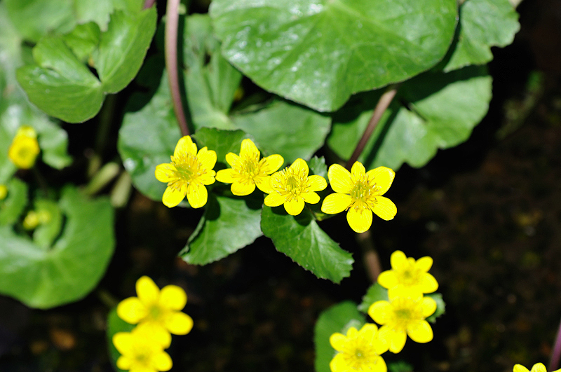 image0180