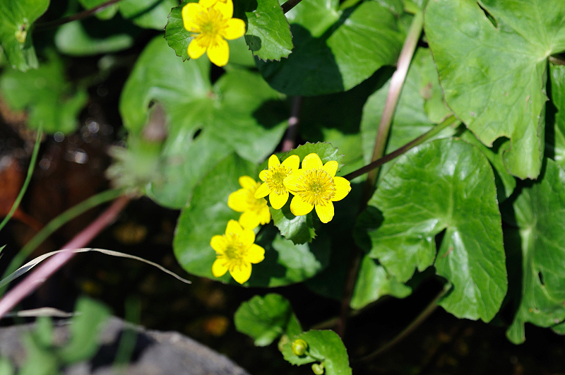 image0182