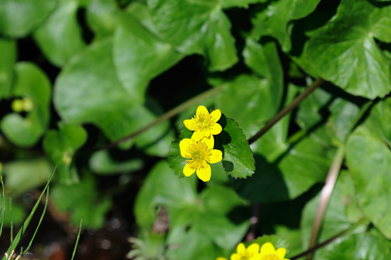 image0183