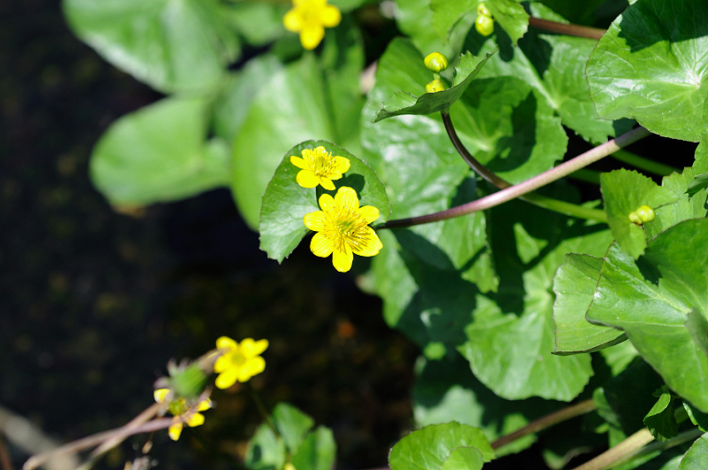 image0185