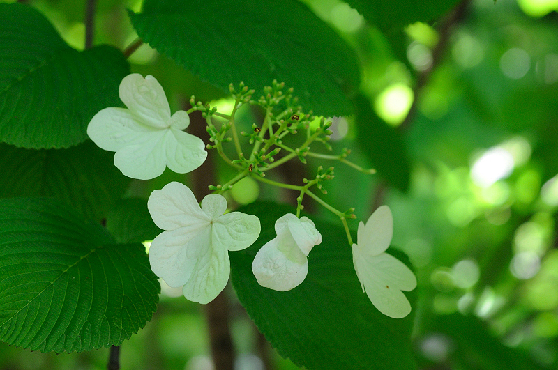 image0187