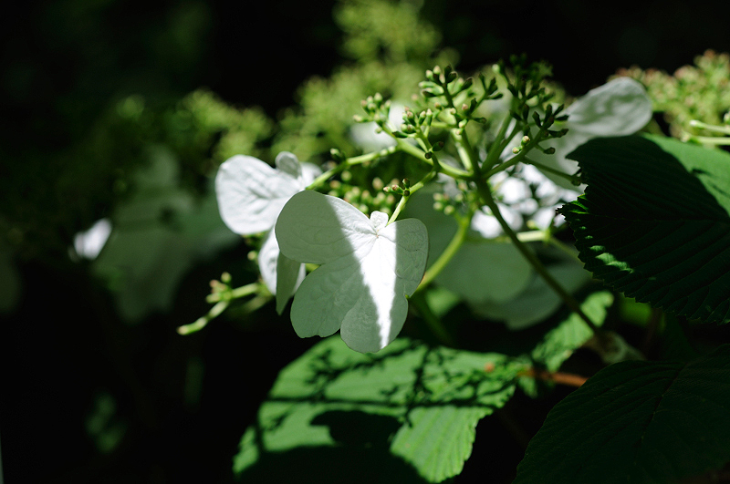 image0188
