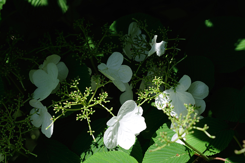 image0189