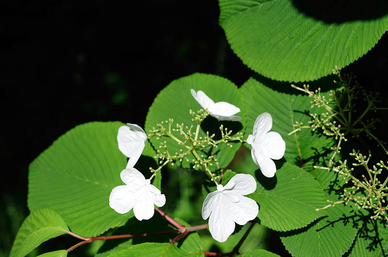 image0191