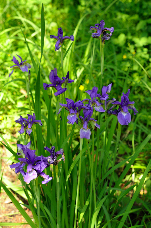 image0192