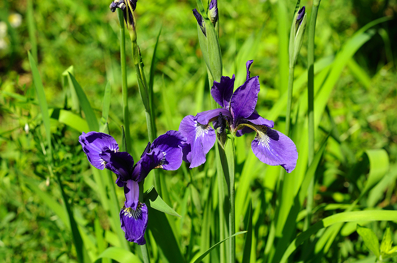 image0195
