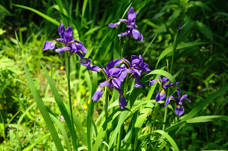 image0196