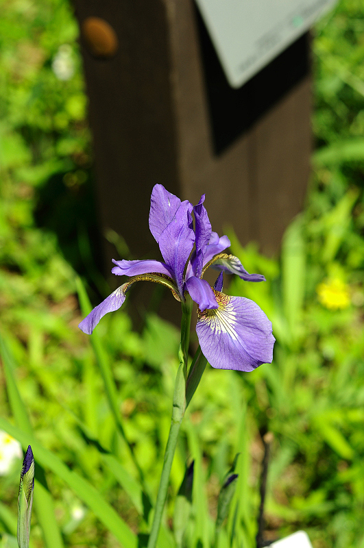 image0197