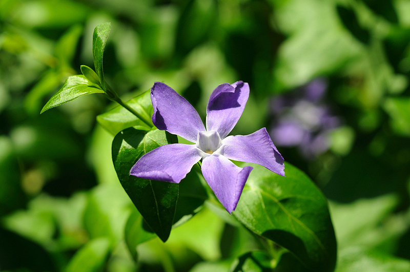 image0198