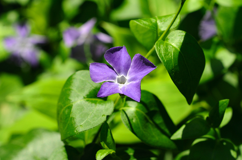 image0199