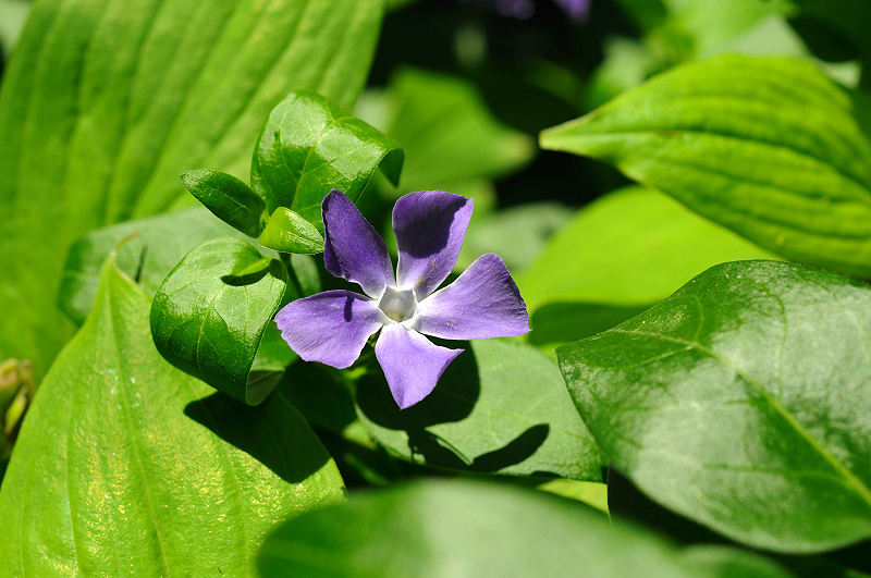 image0200