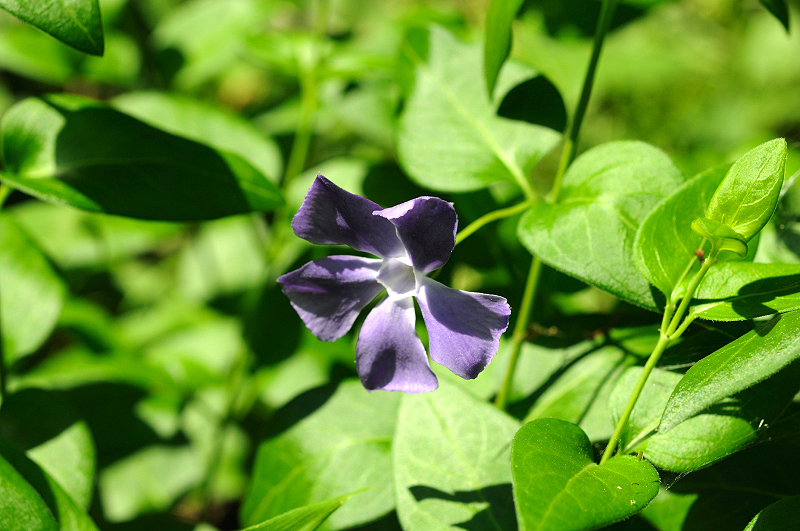 image0201