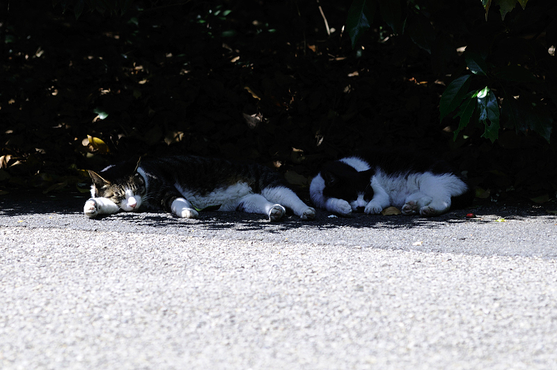 image0202