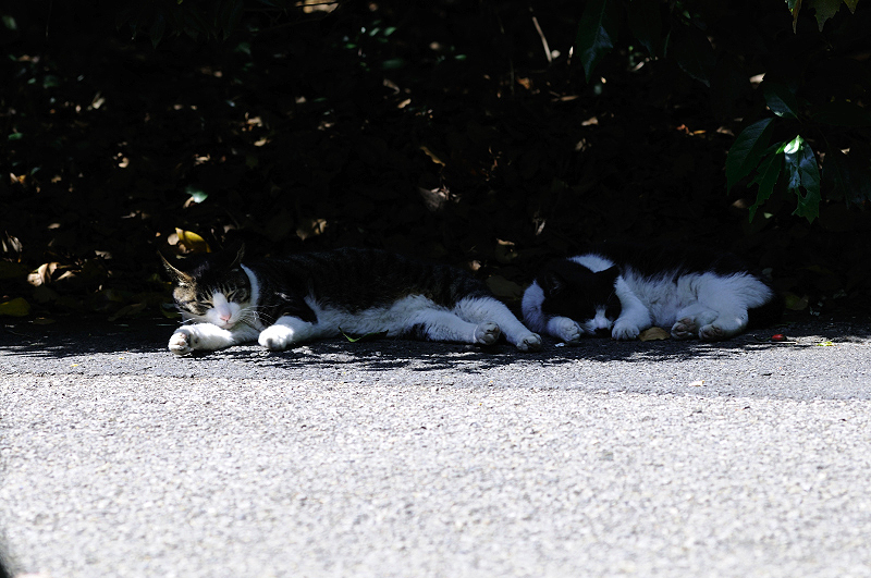 image0203