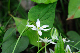 image0128