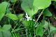 image0129