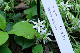 image0130