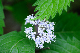image0131