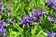 image0133