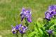 image0134