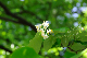 image0135