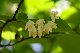 image0136
