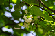 image0137